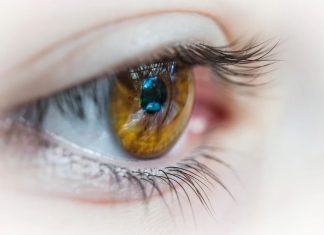 the 10 tips to take care of the eyes health the 10 tips to take care of the eyes health